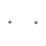 925 Silver & Moissanite Stud Earings