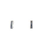 18 Carat White Gold Dropped Earings