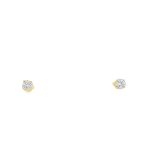 9 Carat Yellow Gold Stud Earings