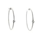 9 Carat White Gold Earings