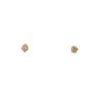 18 Carat Yellow Gold Stud Earings