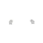 18 Carat White Gold Stud Earings