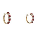 9 Carat Yellow Gold Hoops Earings