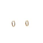 9 Carat Yellow Gold Hoops Earings