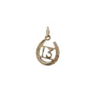 9 Carat Yellow Gold Pendant